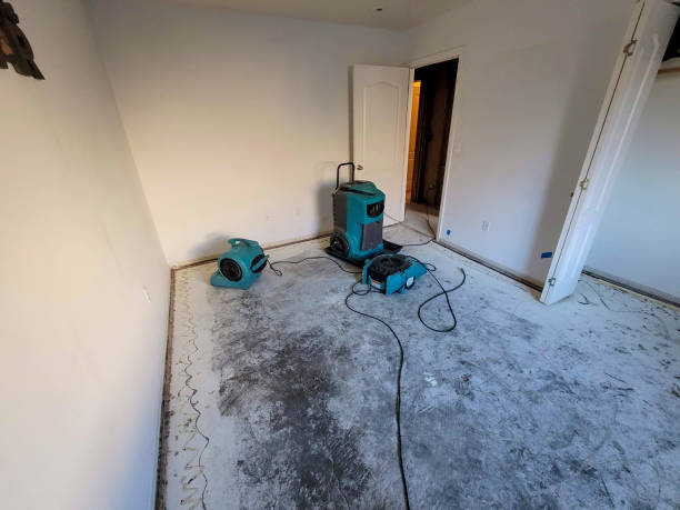 Best Basement water damage restoration  in USA